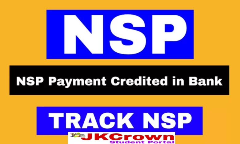 NSP Scholarship Status 2023, Track Your Scholarship Payment Here